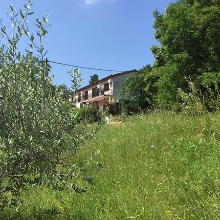 Apartment Cimbora, Salara Farmhouse Копер Екстер'єр фото