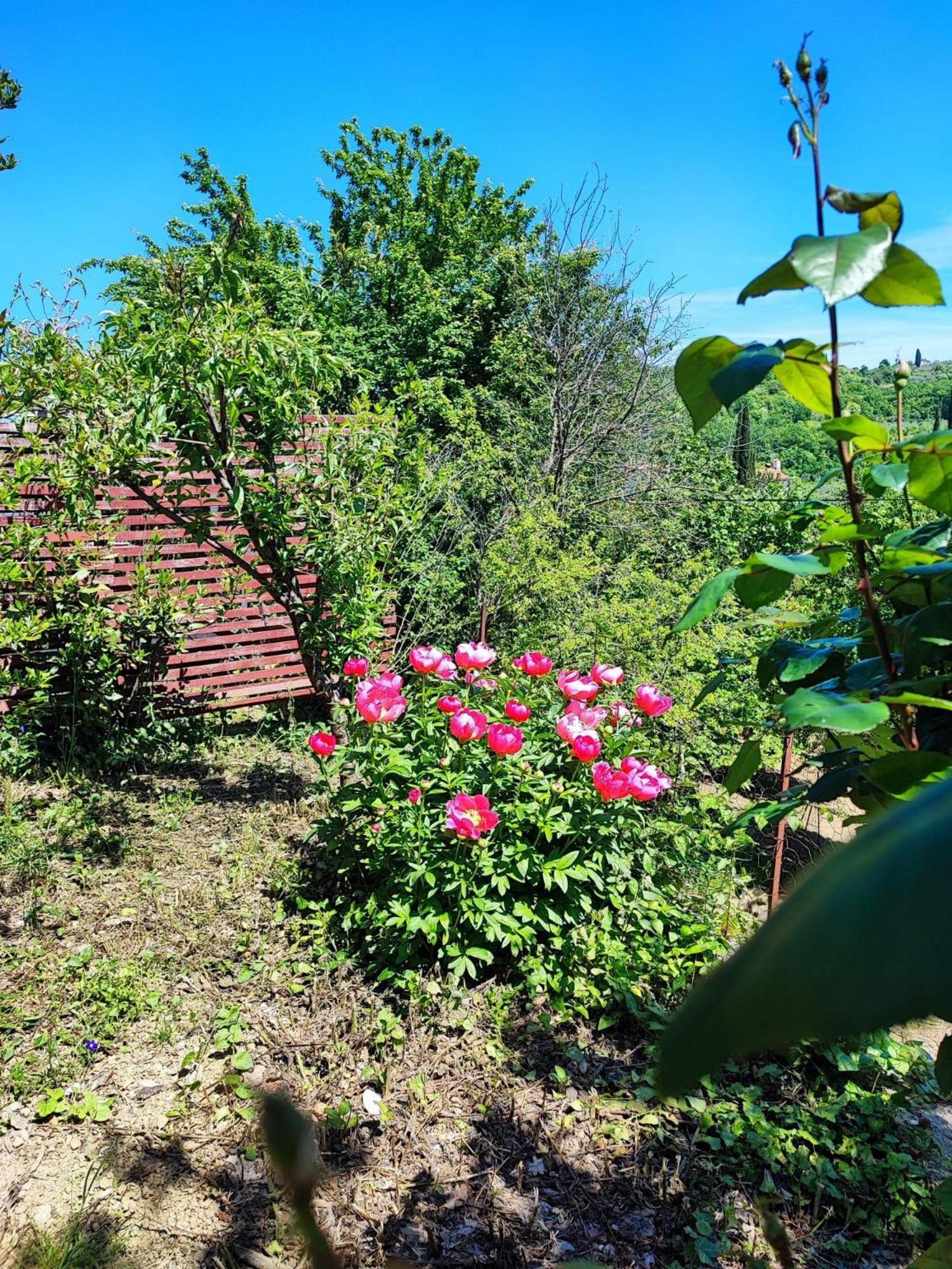Apartment Cimbora, Salara Farmhouse Копер Екстер'єр фото